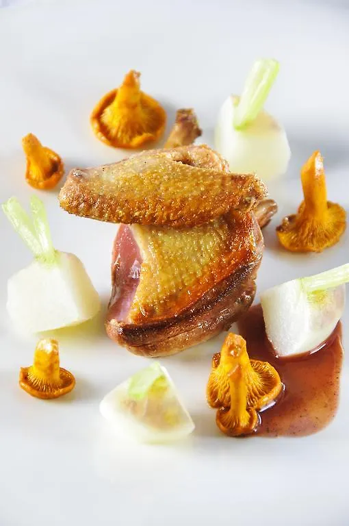 Logis Hotel Restaurant Chateau Bellevue Cazaubon